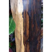 美しい木目のシャムガキの板(ウレタン塗装)
